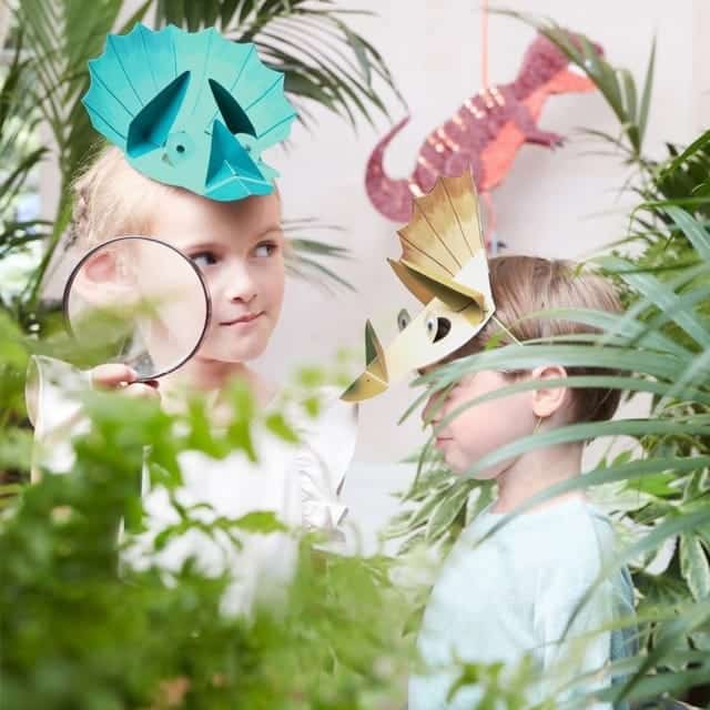 205480-dinosaurus-feesthoedjes-2-20220725141840
